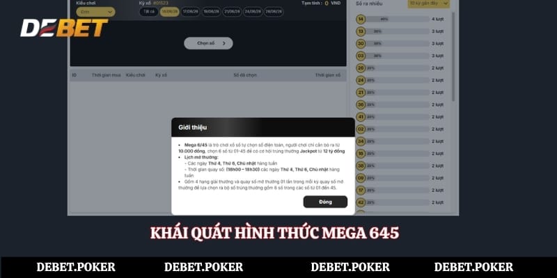 Khái quát hình thức mega 645